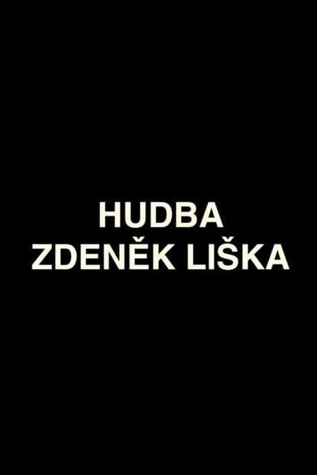 The Music of Zdeněk Liška (2017) movie poster