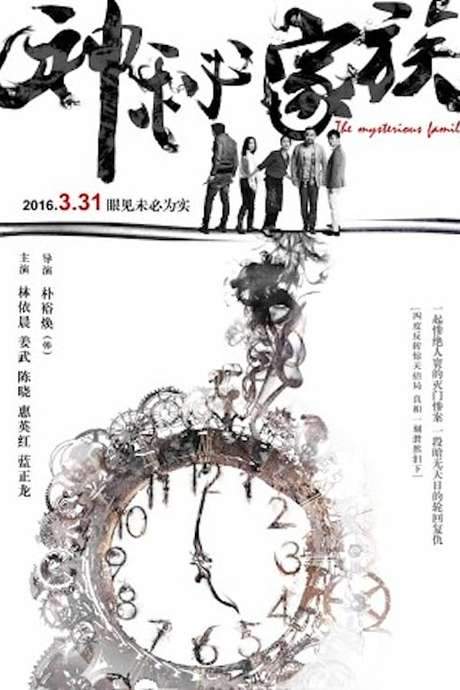 The Mysterious Family (2017) movie poster