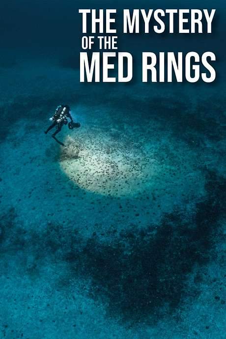 The Mystery of the Med Rings (2025) movie poster