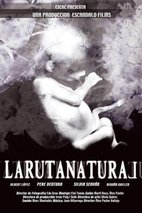 The Natural Route (2004) movie poster