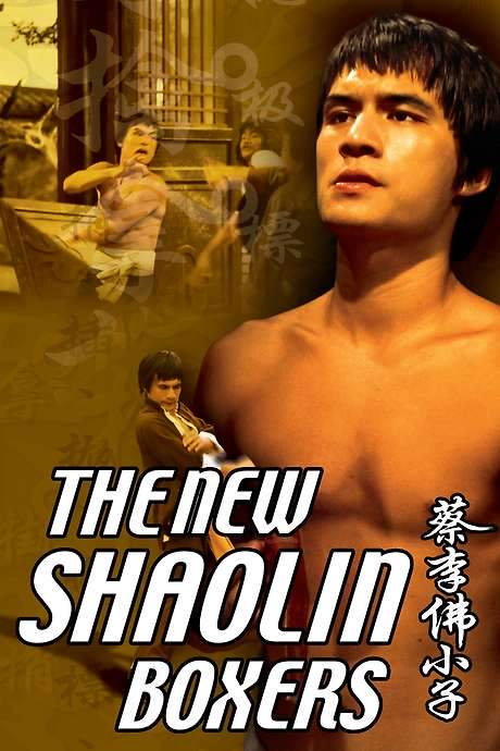 The New Shaolin Boxers (1976) movie poster
