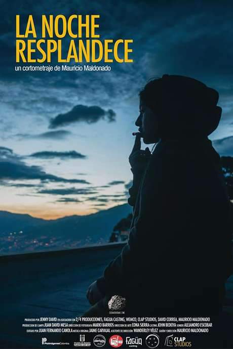 The Night Shines (2018) movie poster