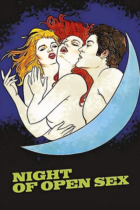 The Night Of Open Sex (1983) movie poster