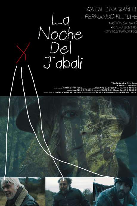 The Night Of The Wild Boar (2016) movie poster