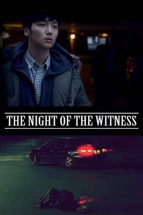The Night of the Witness (2012) movie poster