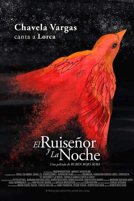 The Nightingale and the Night. Chavela Vargas sings Lorca. (2015) movie poster