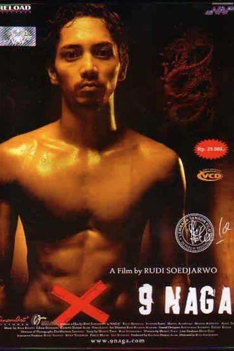 The Nine Dragon (2006) movie poster