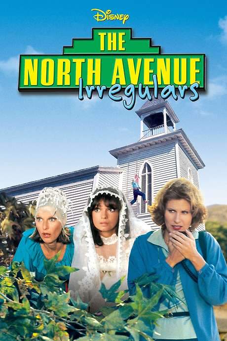The North Avenue Irregulars (1979) movie poster