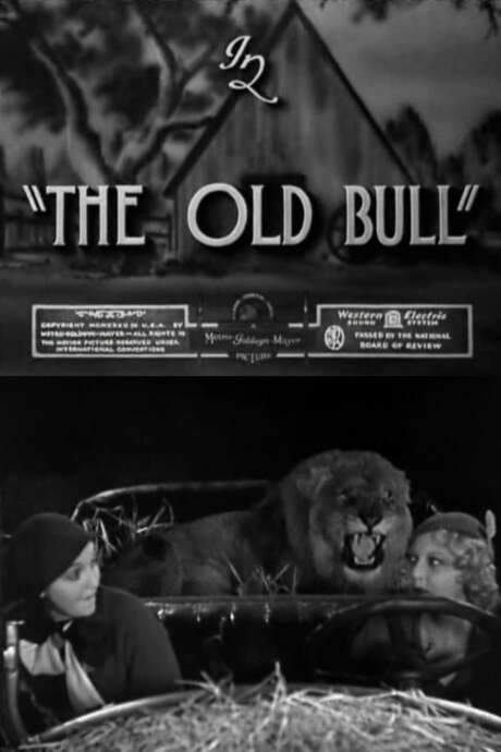 The Old Bull (1932) movie poster