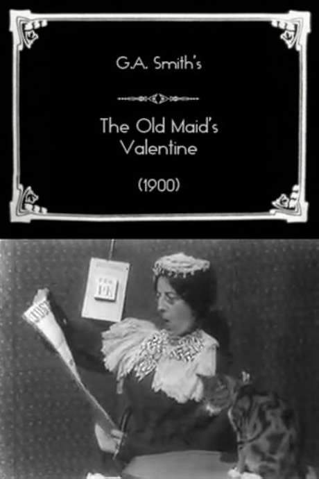 The Old Maid’s Valentine (1900) movie poster