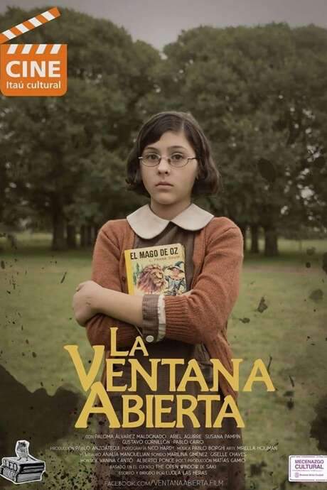 The Open Window (2014) movie poster