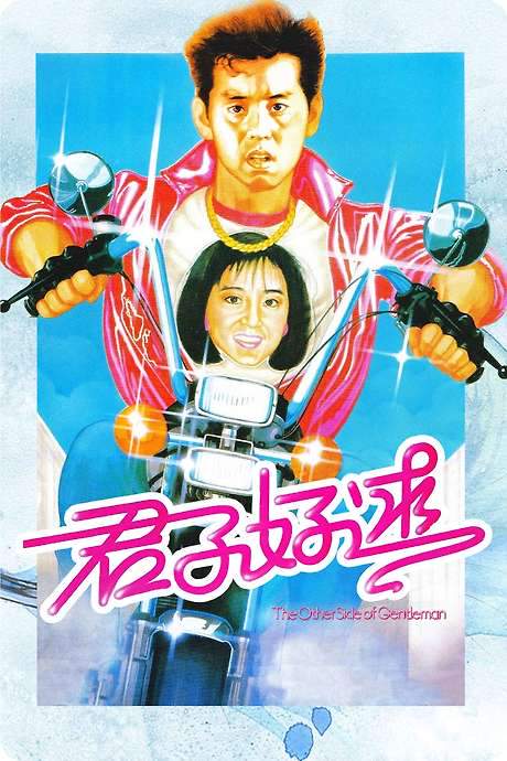 The Other Side of Gentleman (1984) movie poster