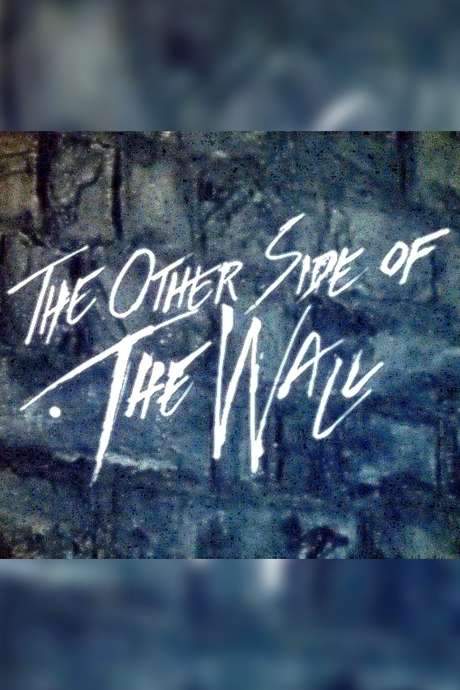 The Other Side of the Wall (1982) movie poster