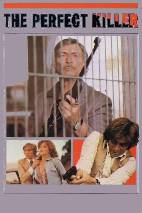 The Perfect Killer (1977) movie poster