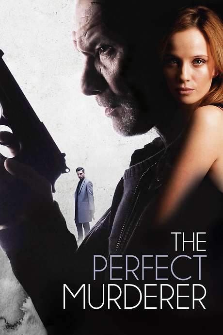 The Perfect Murderer (2017) movie poster