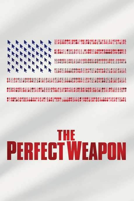 The Perfect Weapon (2020) movie poster