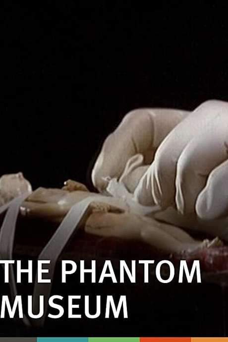 The Phantom Museum: Random Forays Into the Vaults of Sir Henry Wellcome’s Medical Collection (2003) movie poster