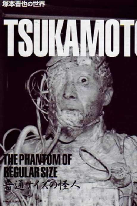 The Phantom of Regular Size (1986) movie poster