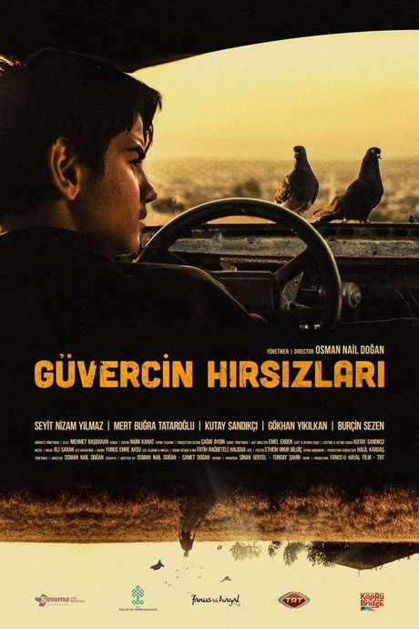 The Pigeon Thieves (2018) movie poster