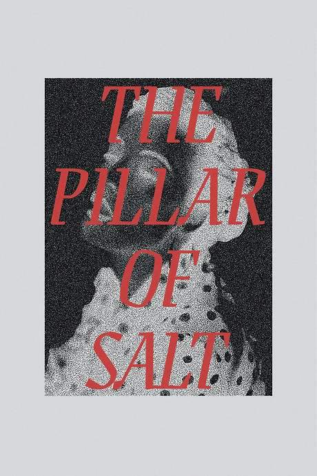 The Pillar of Salt (2018) movie poster