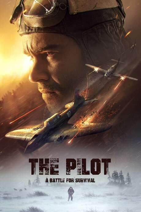 The Pilot: A Battle for Survival (2021) movie poster