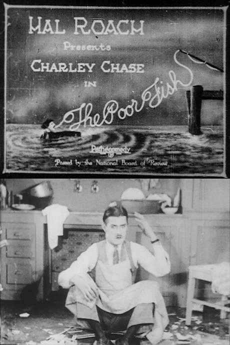 The Poor Fish (1924) movie poster