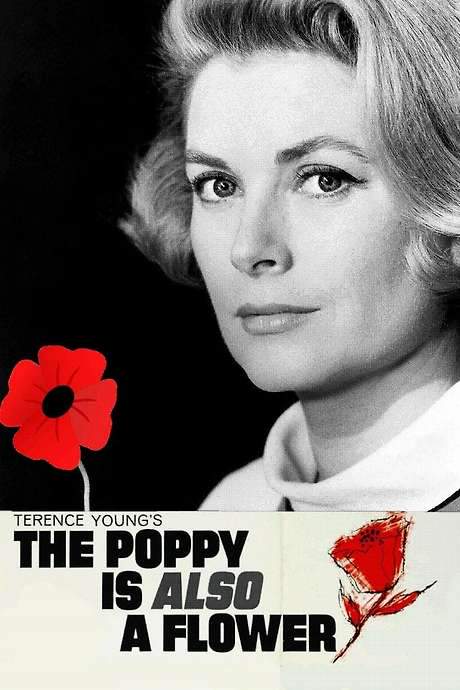 The Poppy Is Also a Flower (1966) movie poster
