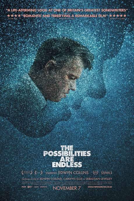 The Possibilities Are Endless (2014) movie poster