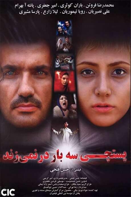 The Postman Doesn’t Knock Three Times (2009) movie poster