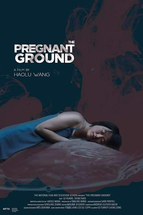 The Pregnant Ground (2019) movie poster
