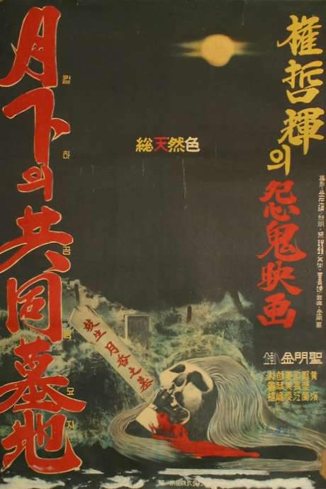 The Public Cemetery Under the Moon (1967) movie poster