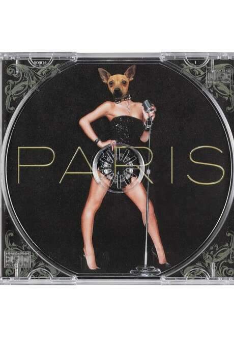 The Punking of Paris Hilton (2006) movie poster