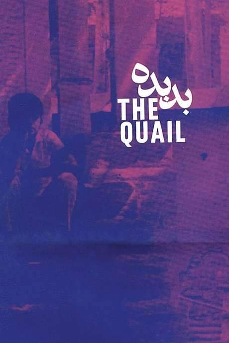 The Quail: The Tale of a Boy Who Asks (1970) movie poster