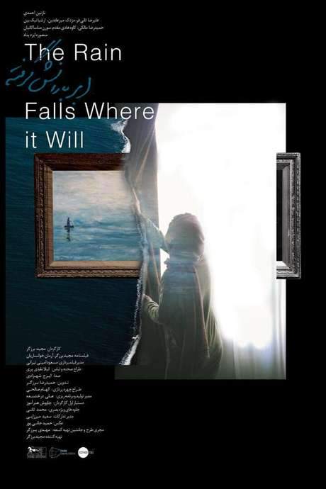The Rain Falls Where it Will (2020) movie poster