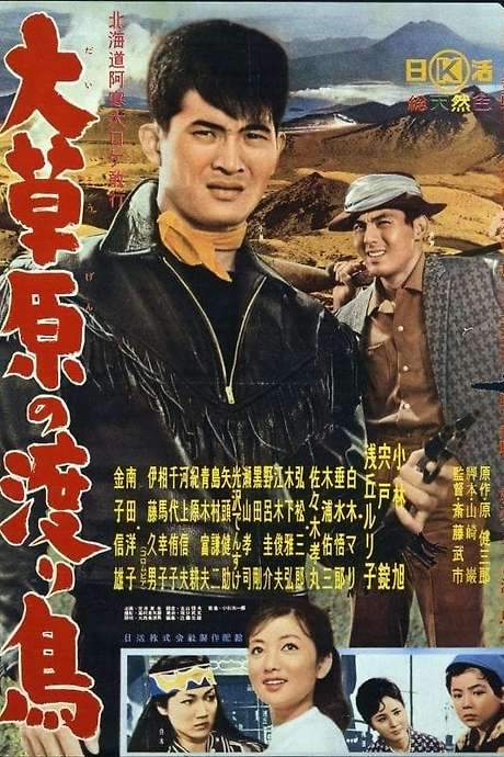 The Rambler Rides Again (1960) movie poster