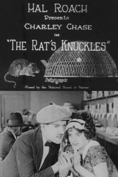 The Rat’s Knuckles (1925) movie poster