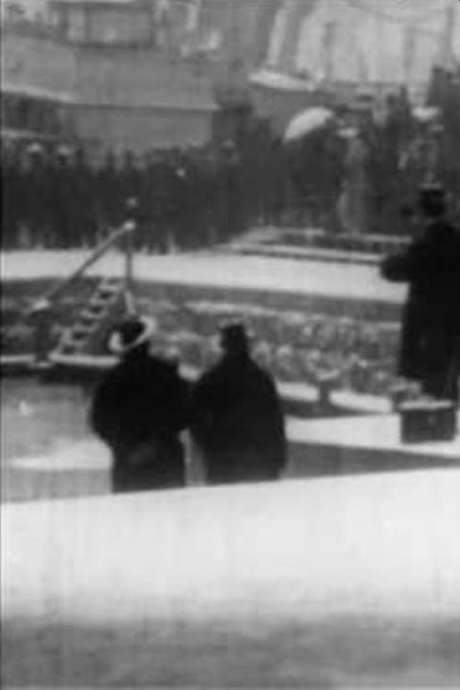 The Reception of King Haakon in Kristiania (1905) movie poster