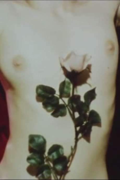 The Red Blue (1971) movie poster