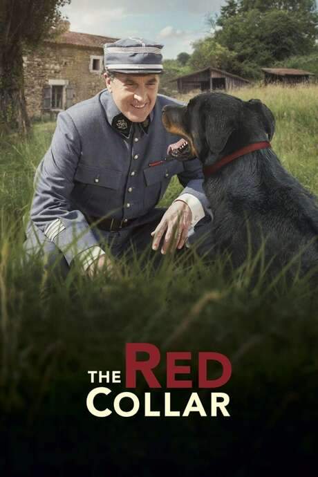 The Red Collar (2018) movie poster