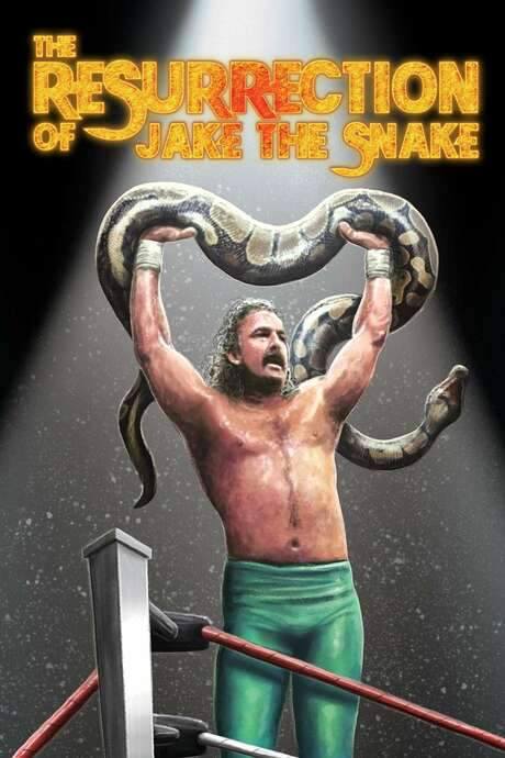 The Resurrection of Jake The Snake (2015) movie poster