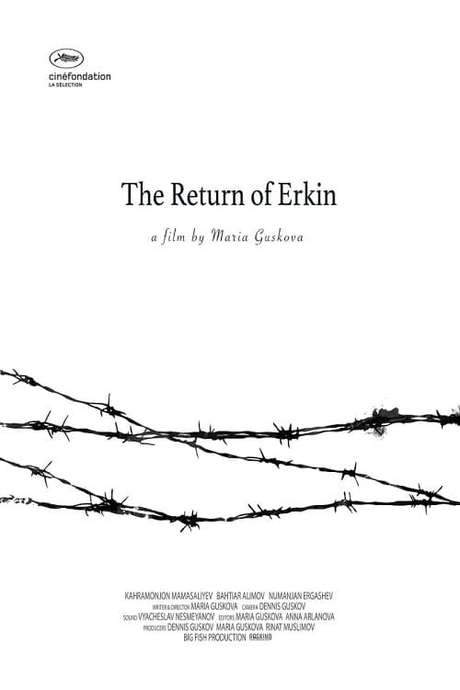 The Return of Erkin (2015) movie poster