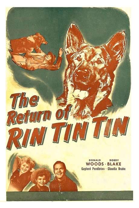 The Return of Rin Tin Tin (1947) movie poster