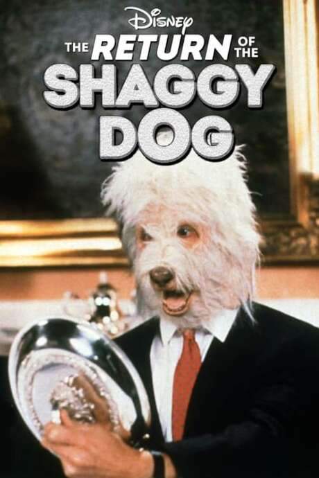 The Return of the Shaggy Dog (1987) movie poster