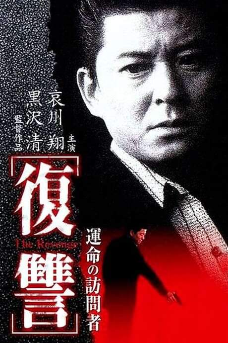 The Revenge: A Visit from Fate (1997) movie poster