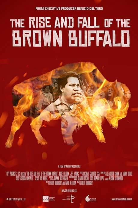 The Rise and Fall of the Brown Buffalo (2017) movie poster