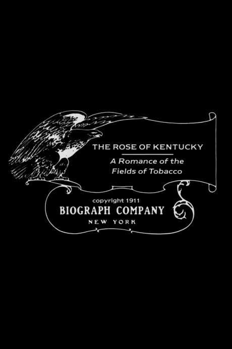 The Rose of Kentucky (1911) movie poster