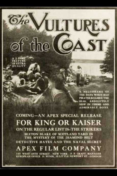 The Sea Vultures (1916) movie poster