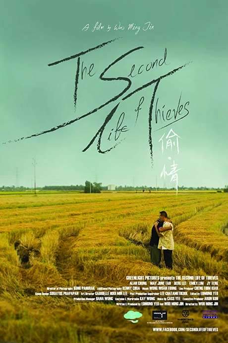The Second Life of Thieves (2014) movie poster