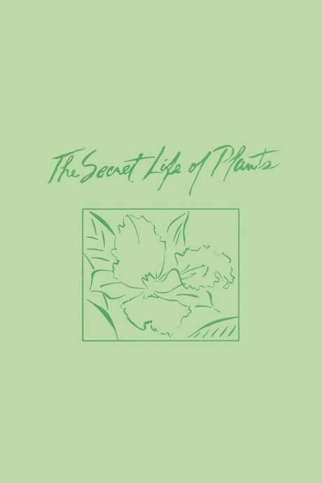 The Secret Life of Plants (1979) movie poster