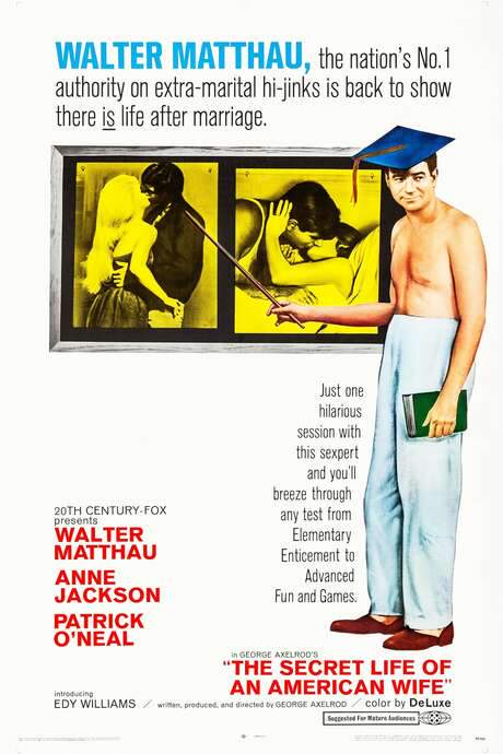 The Secret Life of an American Wife (1968) movie poster